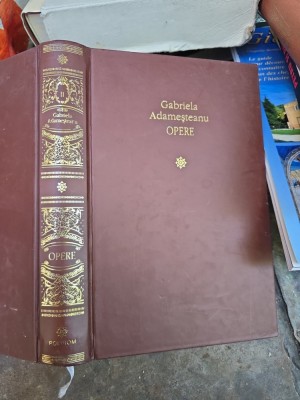 Opere - Gabriela Adameșteanu foto