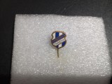 Insigna U Craiova
