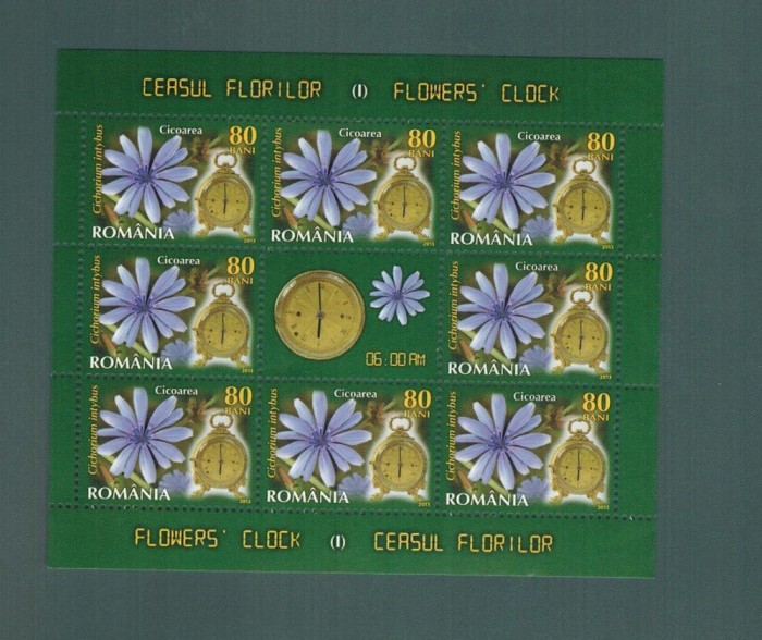 Romania 2013 Ceasul florilor MNH 8 timbre*0,8 lei Flora Cicoarea LP 1966 c