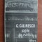 George Calinescu - Pagini de estetica