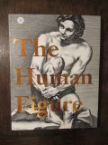 The Human Figure