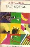 Cumpara ieftin Salt mortal - Luigi Malerba