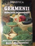 GERMENII, MANCAREA MIRACULOASA-STEVE MEYEROWITZ-355823
