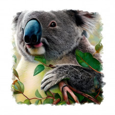 Sticker decorativ, Koala, Gri, 55 cm, 9739ST foto