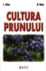 Cultura prunului foto