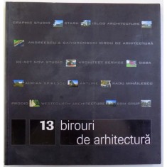 13 BIROURI DE ARHITECTURA de BRUNO ANDRESOIU si ADRIAN CIOCAZANU , 2008