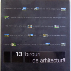 13 BIROURI DE ARHITECTURA de BRUNO ANDRESOIU si ADRIAN CIOCAZANU , 2008