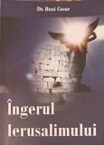 Ingerul Ierusalimului - Buni Cocăr, Carte Crestinism, Editura 2010, 189 Pagini