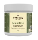 Gel reumaticus 250ml (unt.pam.tat.&amp;arnica)