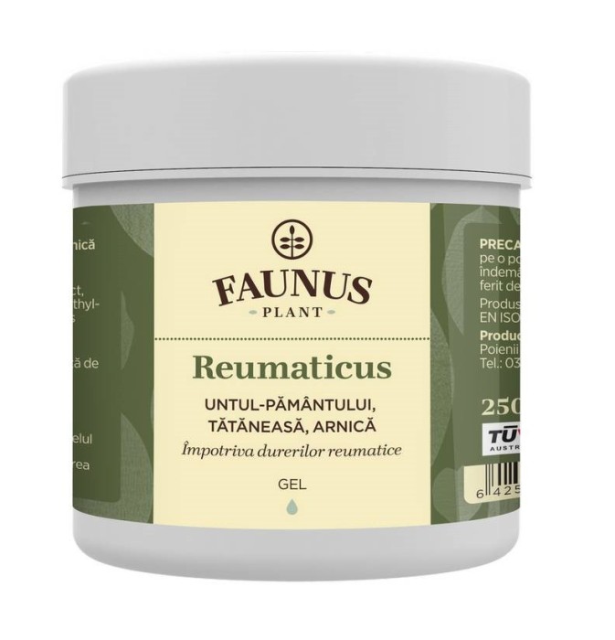 GEL REUMATICUS 250ML (UNT.PAM.TAT.&amp;ARNICA)