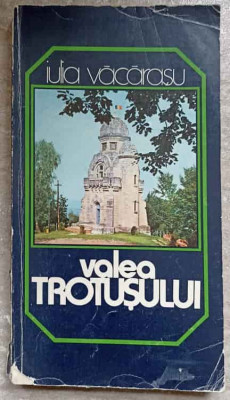 VALEA TROTUSULUI-IULIA VACARASU-222371 foto