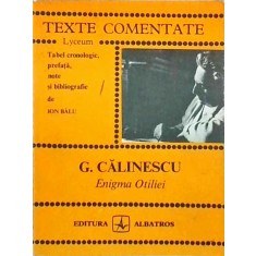 G. Calinescu - Enigma Otiliei