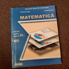 Matematica. Manual pentru clasa a XI-a, M5 - Mihaela Singer P8