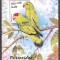 AFGANISTAN 1999 FAUNA PASARI PAPAGALI ( colita dantelata ) MNH