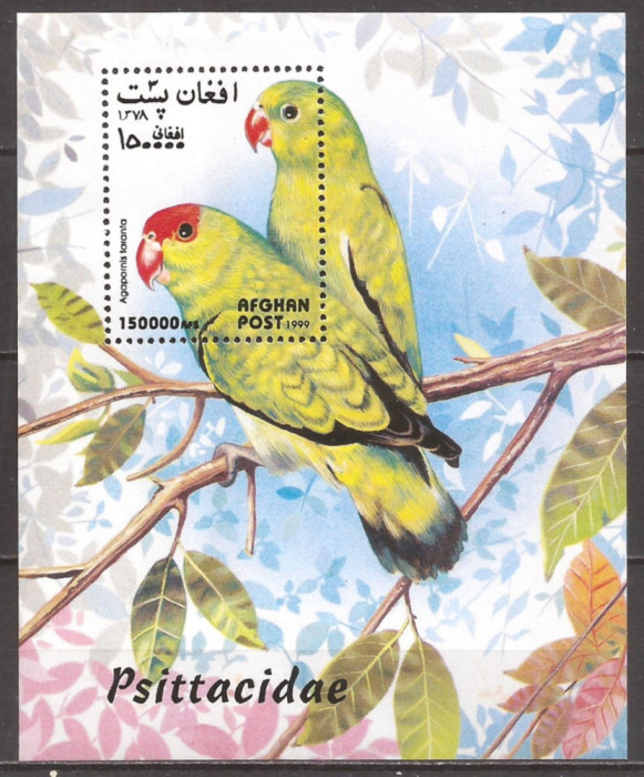 AFGANISTAN 1999 FAUNA PASARI PAPAGALI ( colita dantelata ) MNH