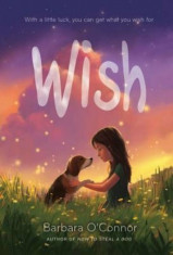 Wish, Paperback/O&amp;#039;Connor, Barbara foto