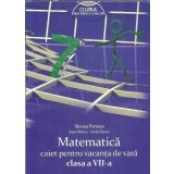 Matematica. Caiet pentru vacanta de vara, clasa a VII-a - Ioan Balica, Liviu Stroie, Marius Perianu