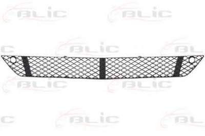 Grila ventilatie, bara protectie MERCEDES S-CLASS (W221) (2005 - 2013) BLIC 6502-07-3514911P foto