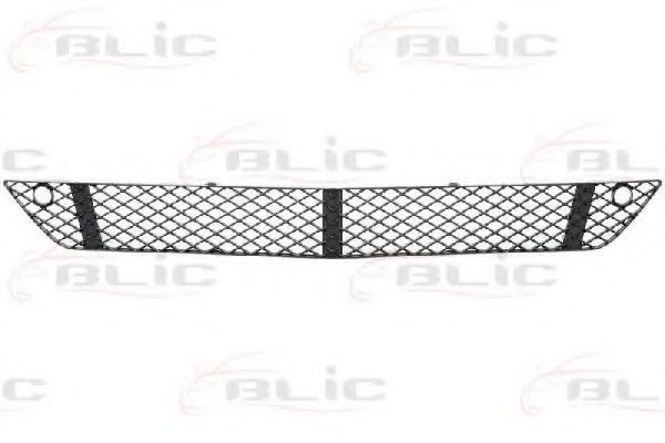 Grila ventilatie, bara protectie MERCEDES S-CLASS (W221) (2005 - 2013) BLIC 6502-07-3514911P