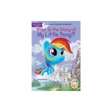 What Is the Story of My Little Pony?
