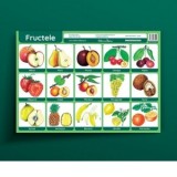 Fructele - plansa didactica A3