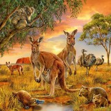 Cumpara ieftin Puzzle Animalele Pamantului, 3X49 Piease, Ravensburger