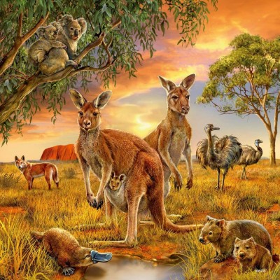 Puzzle Animalele Pamantului, 3X49 Piease foto