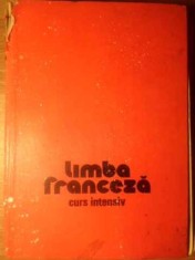 LIMBA FRANCEZA CURS INTENSIV-MICAELA GULEA, HENRY-PIERRE BLOTTIER-341467