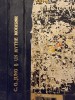 C. G. Jung - Un mythe moderne