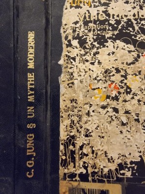 C. G. Jung - Un mythe moderne foto