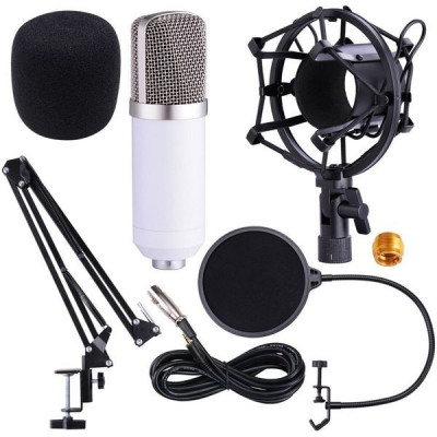 Microfon profesional de Studio Condenser BM-700,cu stand inclus pentru inregistrare foto