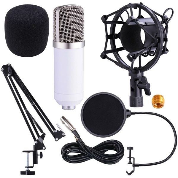 Microfon profesional de Studio Condenser BM-700,cu stand inclus pentru inregistrare