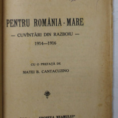 PENTRU ROMANIA-MARE, CUVANTARI DIN RAZBOIU 1914-1916 de N. FILIPESCU cu o prefata de MATEI B. CANTACUZINO - 1925 * COPERTA FATA REFACUTA