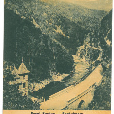 3553 - GORJ, Surduc Pass, Romania - old postcard - unused