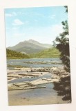 RF181 - Carte Postala - Valea Bistritei. Plute pe drumul de ape, la poalele Ceahlaului, necirculata
