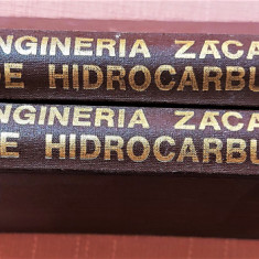 Ingineria zacamintelor de hidrocarburi 2 Volume - Coordonator: Alexandru Soare