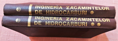 Ingineria zacamintelor de hidrocarburi 2 Volume - Coordonator: Alexandru Soare foto