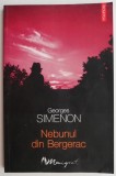 Nebunul din Bergerac - Georges Simenon - Carte