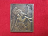 Splendida placheta atletism , gravura exceptionala