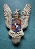 Insigna pilot militar Mihai 1 perioada 1940 1941 1947 varianta argint cu email la corlana