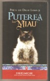 Pisica lui Dalai Lama și puterea lui miau - David Michie