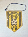 Fanion fotbal, de colecție &ndash; AS Aurul Brad &amp; Mina Barza (Anul 2000)