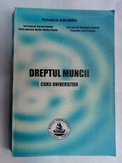 Dreptul muncii , curs universitar - VLAD BARBU , 2008 foto