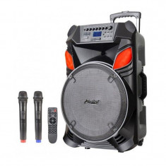 Boxa portabila karaoke Zephyr, 15 inch, acumulator incorporat, bluetooth, 2 microfoane incluse foto
