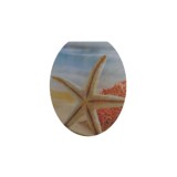 Cumpara ieftin Capac pentru WC cu burete, Stea de mare, KY5014, 400 x 360 mm