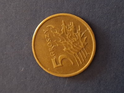 5 groszy 2006 foto