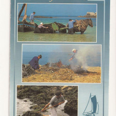 FR1 -Carte Postala - FRANTA- Les Goemoniers (Pigoulliers), necirculata