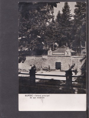 QW23 B - Carte postala - tematica turism - vedere - Romania - Borsec 25 foto