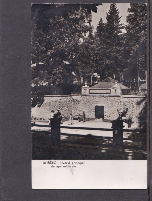 QW23 B - Carte postala - tematica turism - vedere - Romania - Borsec 25