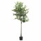 Gossi ficus artificial 756 frunze 170 cm verde